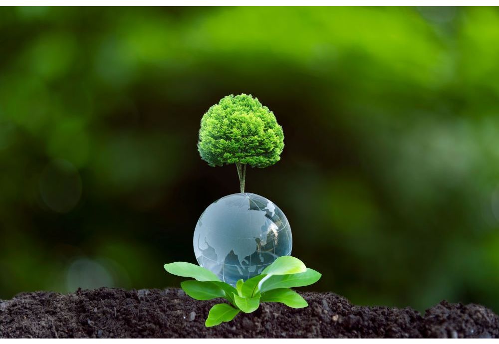 A megújuló hő támogatása: a biomassza-kazánok hatása a CO₂-kibocsátásra